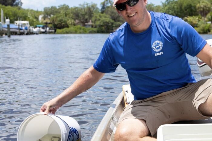 Dr. Ryan Schloesser releases snook into Phillippi Creek