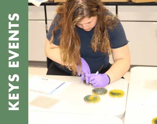 Keys Education Homeschool