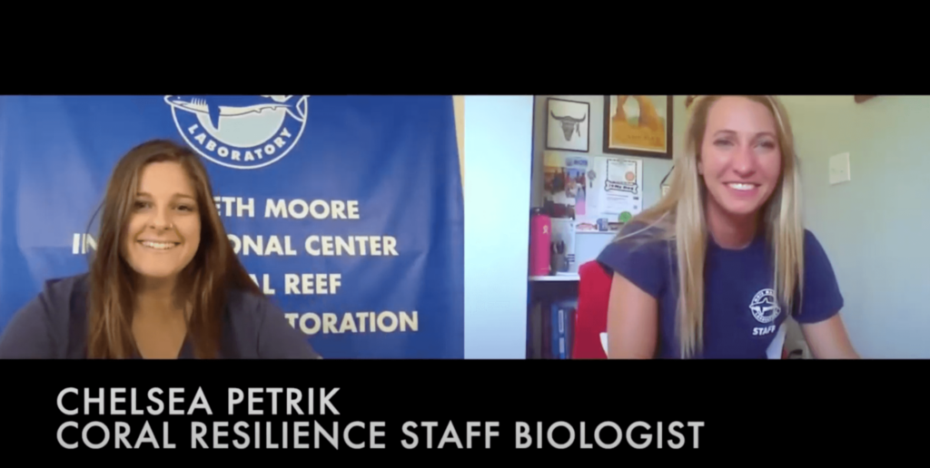 A screenshot of a Zoom presentation with two speakers visible. 